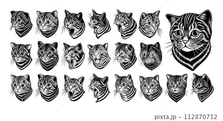 Collection of side view scottish fold cat head illustration design 112870712