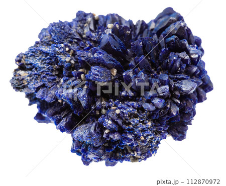 druse of rough azurite crystals isolated on white 112870972