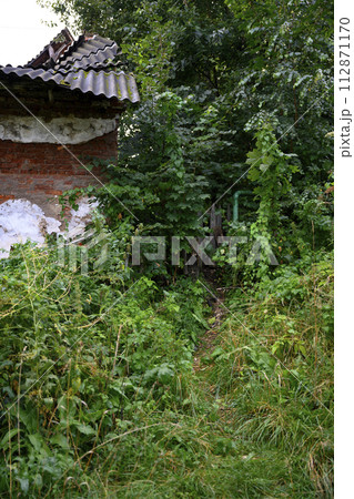 A thicket next to a dilapidated brick barn and a wooden fence 112871170