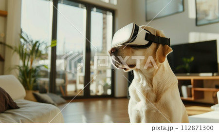 A young cheerful dog sits in a modern room, wearing a white VR virtual reality headset. daylight 112871300