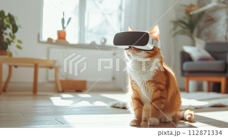 A young cheerful cat sits in a modern room, wearing a white VR virtual reality headset. daylight. 112871334