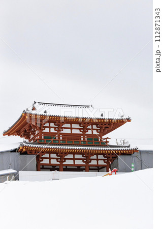 雪が積もった再建中の多賀城南門（国特別史跡） 112871343