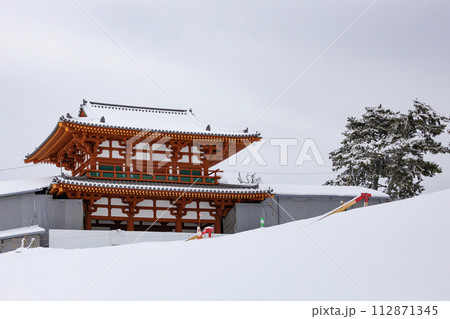 雪の降った再建中の多賀城南門（国特別史跡） 112871345