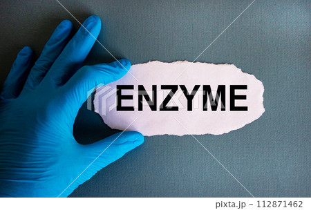 Hand in blue glove with white small paper. Concept word 'enzyme'. Blue background. Copy space. Hand in blue glove with white small paper. Concept word 'enzyme'. Blue background. Copy space. 112871462