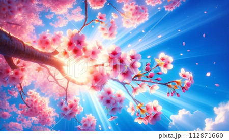満開の桜 112871660