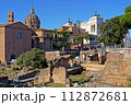 ROME, ITALY Roman ruins, excavations. Ruins of the roman Forum from the Palatine Hill 112872681