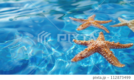Starfish in blue water with light reflection Starfish in blue water with light reflection 112873499