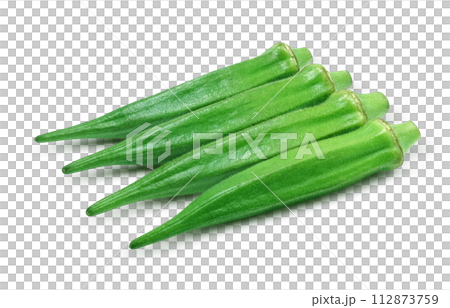 Okra illustration realistic 112873759