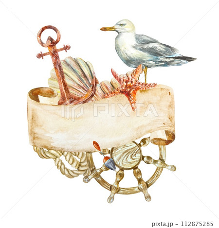 Sea helm, seagull, anchor, seaweed, starfish, shell on white background. Hand drawn watercolor illustration for cards, invitations, banners, posters. 112875285
