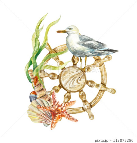 Sea rudder, seagull, seaweed, starfish, shell on white background. Hand drawn watercolor illustration for cards, invitations nautical banners, posters Sea rudder, seagull, seaweed, starfish, shell on white background. Hand drawn watercolor illustration for cards, invitations nautical banners, posters 112875286