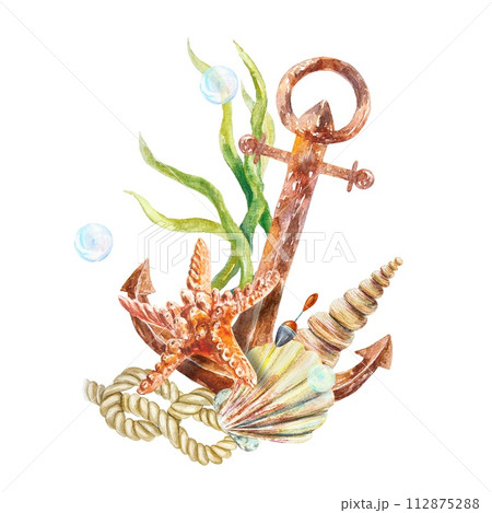 Anchor, seaweed, shell, sea rope, starfish on white background. Hand drawn watercolor illustration for cards, invitations nautical banners, posters. 112875288
