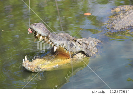 絶対見逃せない！ベトナムホーチミンの観光スポット　ベトナム料理、ピンク教会、奇怪遺産、夜景 112875654