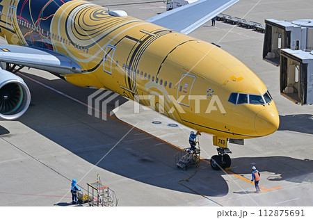 ANA777スターウォーズ羽田到着 ANA777スターウォーズ羽田到着 112875691