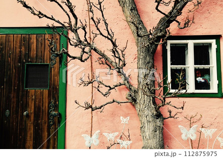 ヨーロッパの可愛らしいレトロな家と木 ヨーロッパの可愛らしいレトロな家と木 112875975