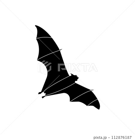flying bat icon 112876187