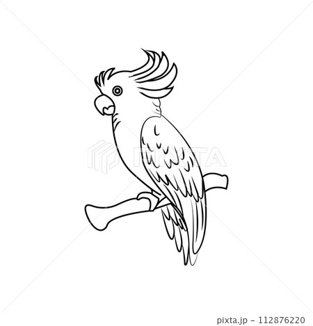 parrot icon parrot icon 112876220