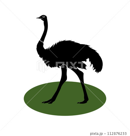 ostrich icon 112876233