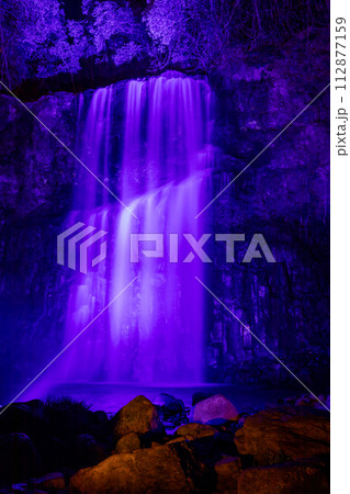 桜滝ライトアップ 桜滝ライトアップ 112877159