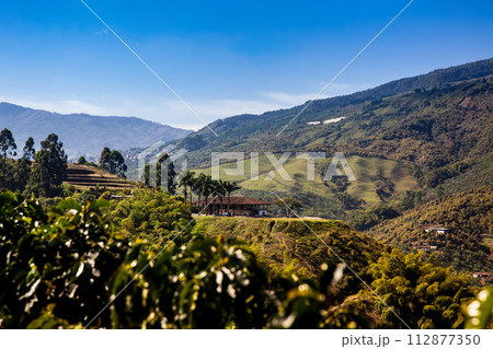 The beautiful Coffee Cultural Landscape of Colombia declared as a World Heritage Site in 2011 112877350