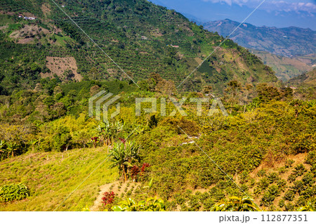 The beautiful Coffee Cultural Landscape of Colombia declared as a World Heritage Site in 2011 112877351