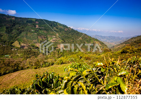 The beautiful Coffee Cultural Landscape of Colombia declared as a World Heritage Site in 2011 112877355