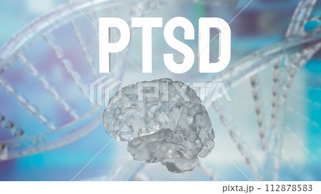 The Brain and ptsd text for health or sci concept 3d rendering. The Brain and ptsd text for health or sci concept 3d rendering. 112878583