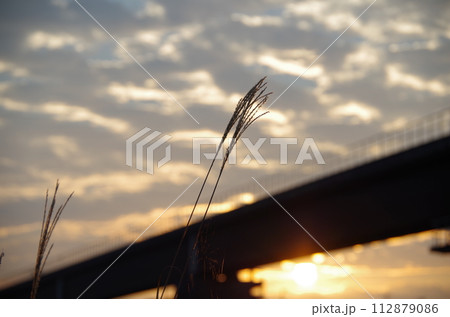 朝日とススキ 朝日とススキ 112879086