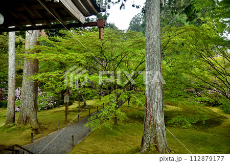 三千院(庭園)　【京都府京都市左京区大原来迎院町】  112879177