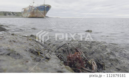 Camouflaged King Crab with Abandoned Ship on Coastline at Dusk Camouflaged King Crab with Abandoned Ship on Coastline at Dusk 112879181