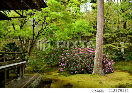三千院(庭園) 【京都府京都市左京区大原来迎院町】 三千院(庭園) 【京都府京都市左京区大原来迎院町】 112879183