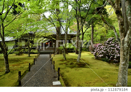 三千院(庭園)　【京都府京都市左京区大原来迎院町】  112879184