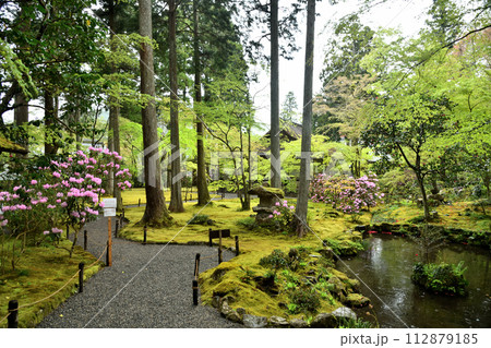 三千院(庭園)　【京都府京都市左京区大原来迎院町】  112879185
