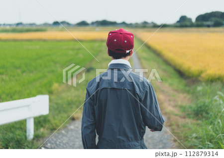 rice farming 112879314