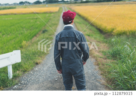 rice farming rice farming 112879315