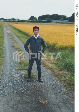 rice farming rice farming 112879319