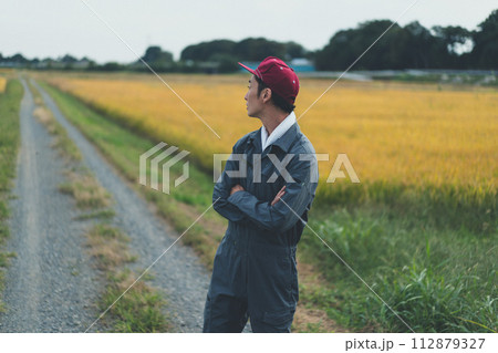 rice farming rice farming 112879327