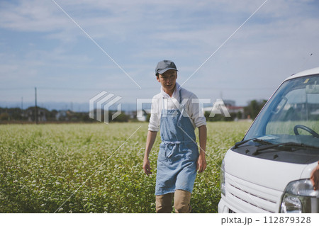 vegetable field vegetable field 112879328