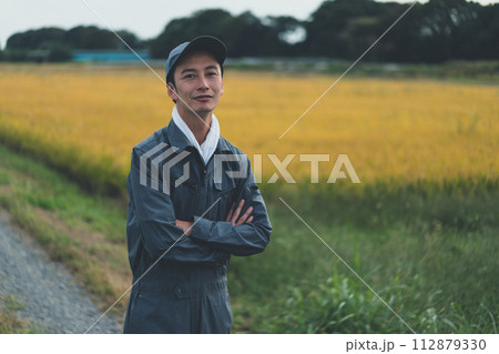 rice farming 112879330