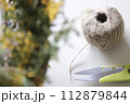 ミモザ 112879844