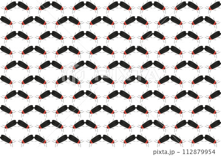 「ゲンジボタル」背景画像 下向き 斜め 「ゲンジボタル」背景画像 下向き 斜め 112879954