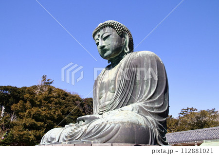 鎌倉大仏 高徳院 側面 鎌倉大仏 高徳院 側面 112881021