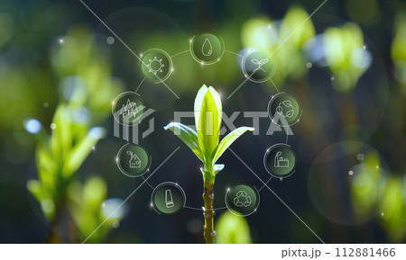 環境保護に関するアイコン：エコロジー、水、太陽、リサイクル、バイオマス発電、循環、グリーンエネルギー 112881466