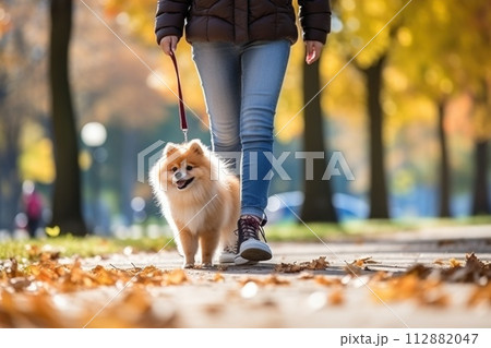image of a person walking a pet dog in a city park on a sunny autumn day 112882047