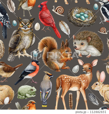 Forest animals seamless pattern. Watercolor painted illustration. Different forest wild animals and birds seamless pattern. Squirrel, hedgehog, owl, deer, robin, wren elements. Dark background 112882831
