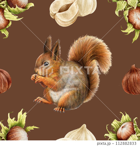 Cute red squirrel with hazelnut elements seamless pattern. Watercolor painted illustration. Hand drawn vintage style squirrel with nuts seamless pattern. Dark hazel background 112882833
