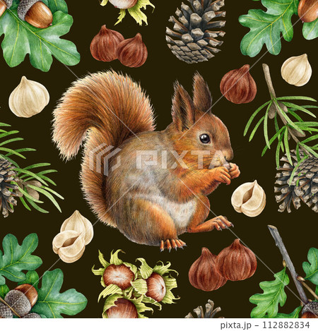 Hand drawn squirrel with nuts, acorn and forest elements seamless pattern. Watercolor painted illustration. Cute red squirrel with hazelnut, cone, acorn elements seamless pattern. Dark background 112882834