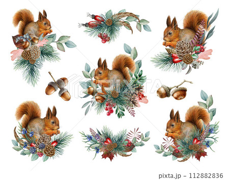Winter season floral decor set with red squirrel. Vintage style watercolor illustration set. Painted squirrel with pine, eucalyptus, berries decoration collection. Forest animal winter festive decor Winter season floral decor set with red squirrel. Vintage style watercolor illustration set. Painted squirrel with pine, eucalyptus, berries decoration collection. Forest animal winter festive decor 112882836