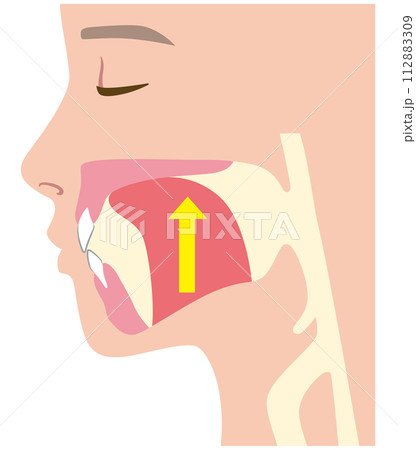 正しい舌の位置 ミューイング 正しい舌の位置 ミューイング 112883309