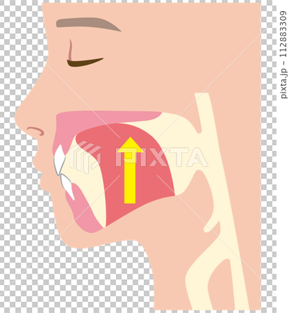 正しい舌の位置 ミューイング 正しい舌の位置 ミューイング 112883309