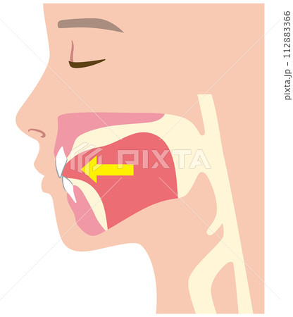 下がっている舌の位置 下がっている舌の位置 112883366
